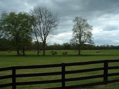 Rolls Of Hay