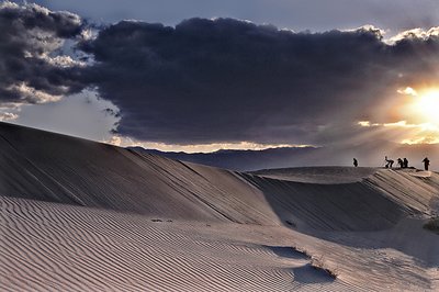 Death Valley Safari