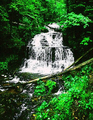 FALLS IN THE U.P.