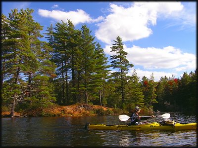 Kayaking on Bog River