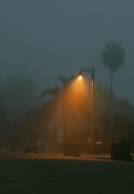 Foggy Street Light