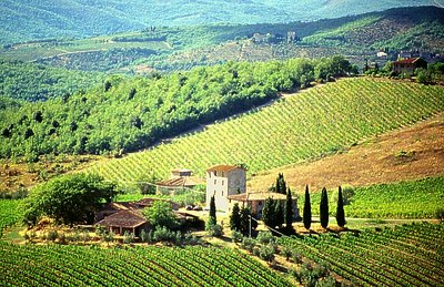 Tuscany landscape #3