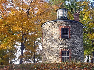 Leaf and Stone