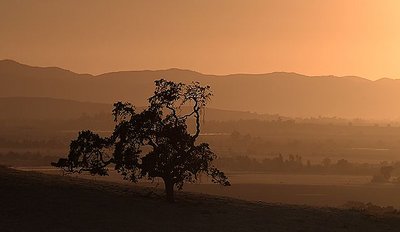 View from Lone Tree Rd.