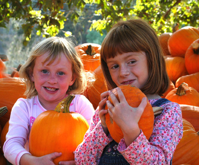 Pumpkin Girls