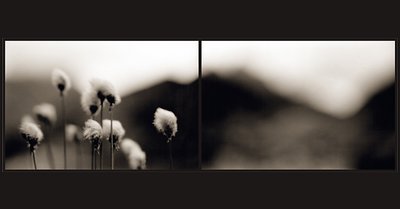 Tatry # diptych I.