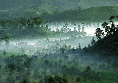 morning on the dieng plateu