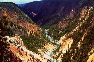 Yellowstone peace