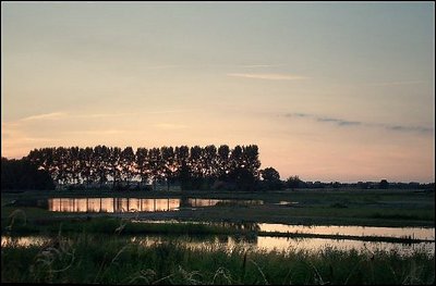 Nightfall at the pond