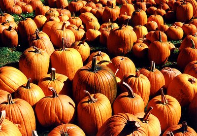 Pumpkins