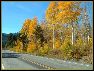 Highway 88 Fall Colors