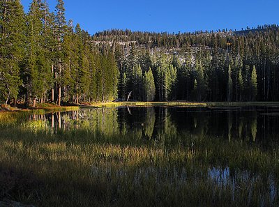 Yosemite Lake