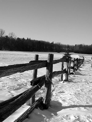 VT Winter