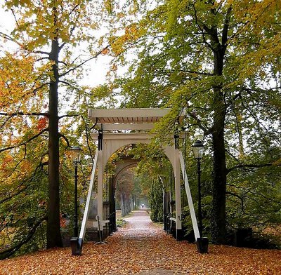 Bridge in Autumn landscape