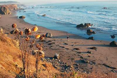 Sunset, Big Sur, California-1