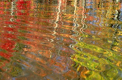 Rippled Reflections