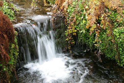 Dawyck Fall