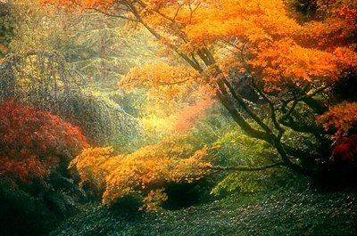Kubota Garden