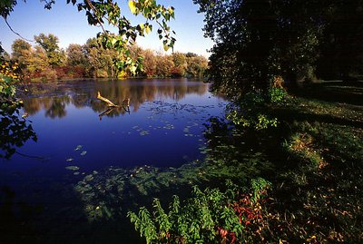 At the lake in october II