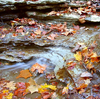 Keehner Park Fall 1