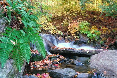 cotton stream