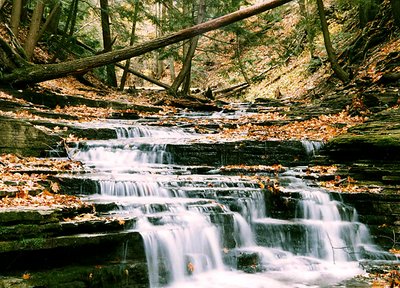 THACHER PARK 2