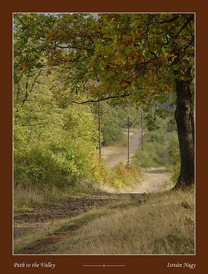 Path to the Valley