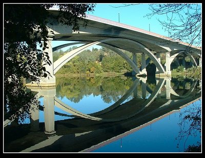 Bridge Reflections