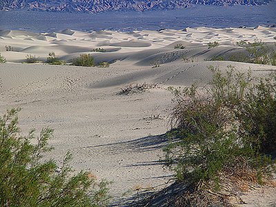 Dunes