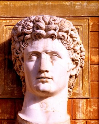 Statue  in courtyard of vatican museum