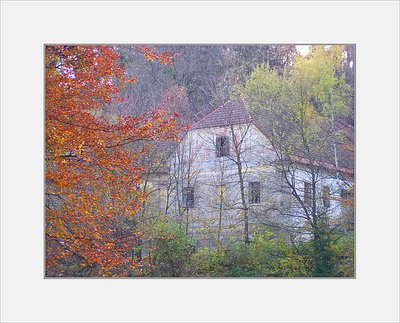 A House behind Trees