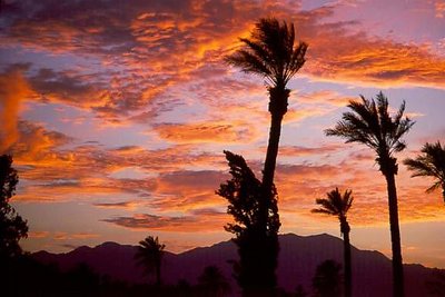 Sunset Palm Springs, Ca.