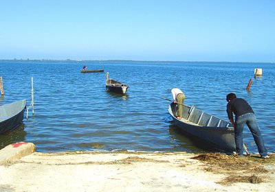 Going to Sea