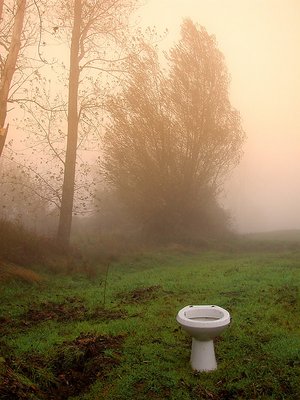 Public Toilette...with fog..for the privacy...!!!