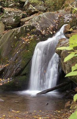 Dark Hollow Falls Detail