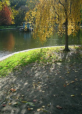 Boston Garden, Fall 2