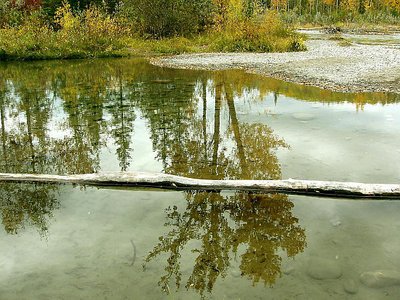 Reflection in Oxbow of Elbow River