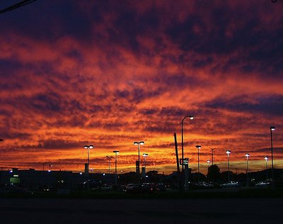 'halloween sunset'
