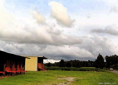 Passing by the Farm...