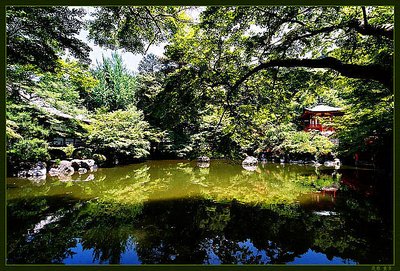 Japanese garden #7