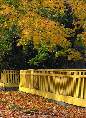 Yellow Fence - Kingston, RI