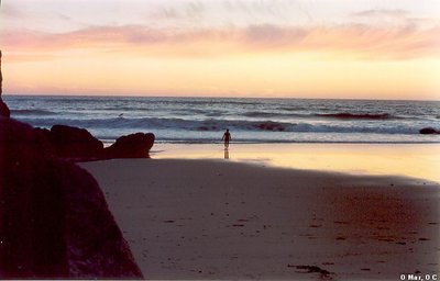 O Mar, O Céu e o Homem