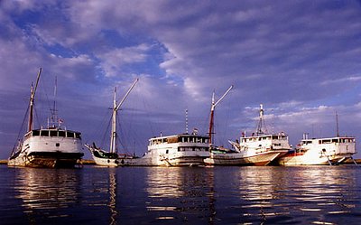 Phinisi at Sunda Kelapa