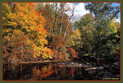 Pennypack Park (s1310)