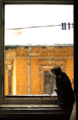 FIRST SNOW