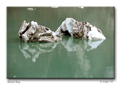 Iceberg - Glacier Bay, Alaska