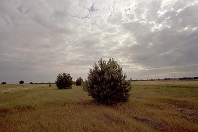 Darkness over field