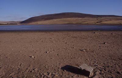 barren beach