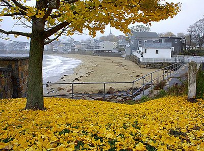 Misty Morning, Front Beach