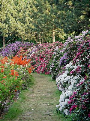 Spring in Poland